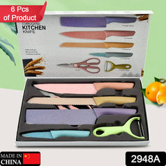 Professional Colorful Kitchen Knives Set of 6 Pieces, Non-Stick Blades with High Carbon Stainless Steel, Sharp Kitchen Cutting Knives Set for Slicing, Paring and Cooking, Chef Kitchen Knives Set