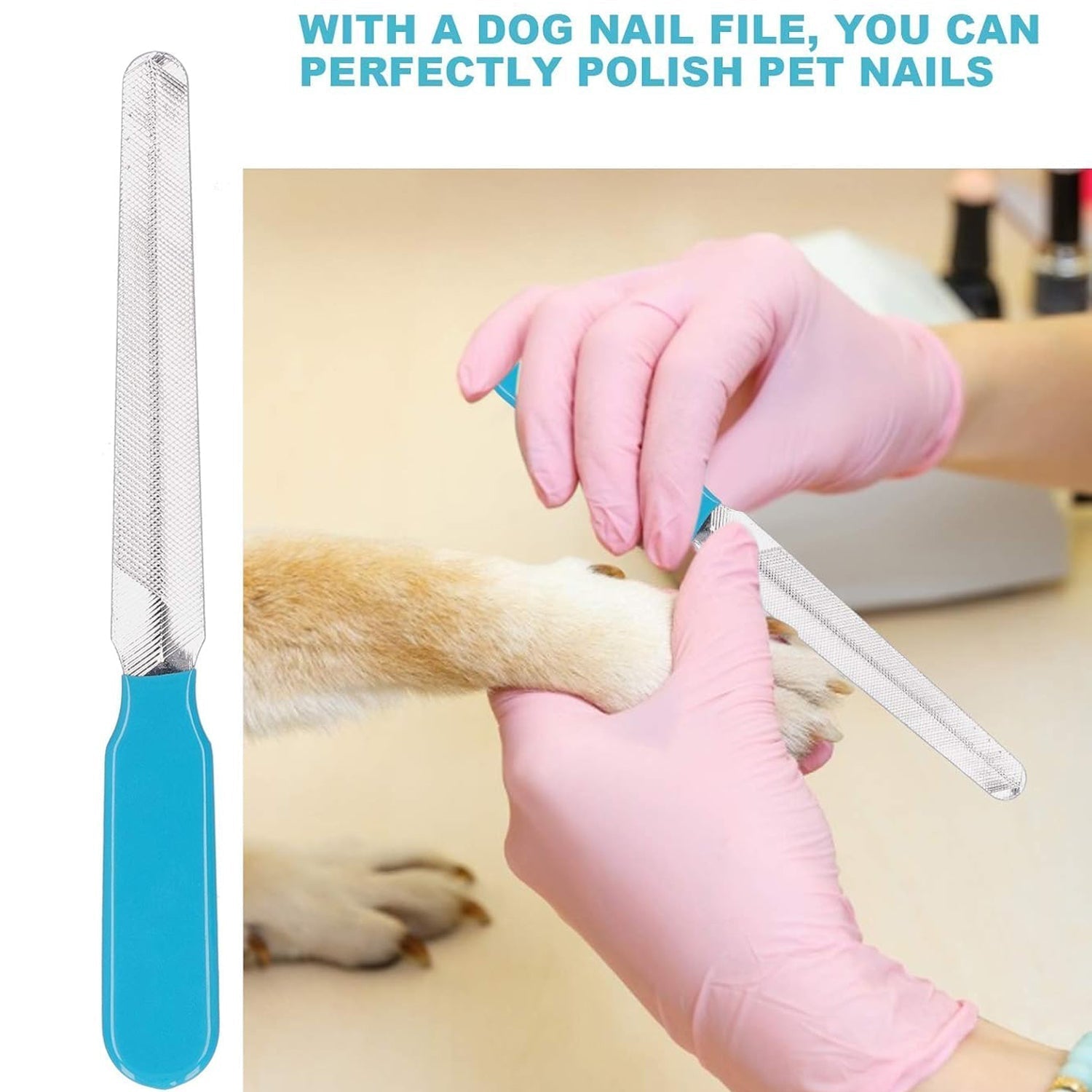 Pet Nail Clipper and Nail File Grooming Kit for Dogs and Cats (Mix Color / 2 Pc) (Stock:-6800)
